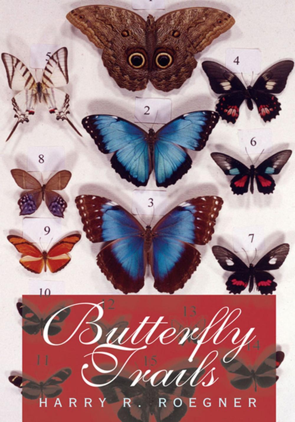 Big bigCover of Butterfly Trails