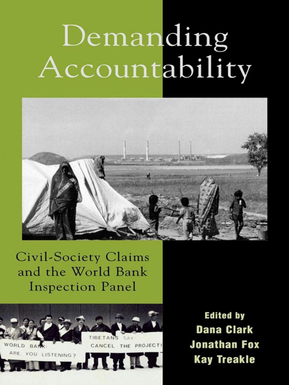 Big bigCover of Demanding Accountability