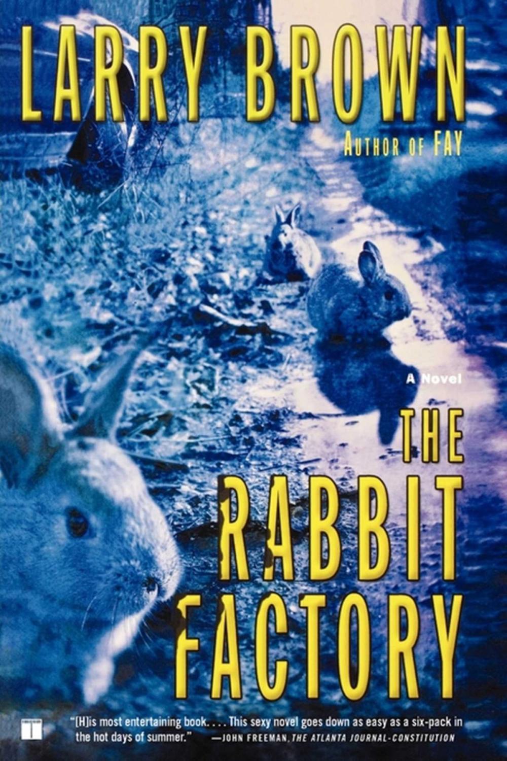 Big bigCover of The Rabbit Factory