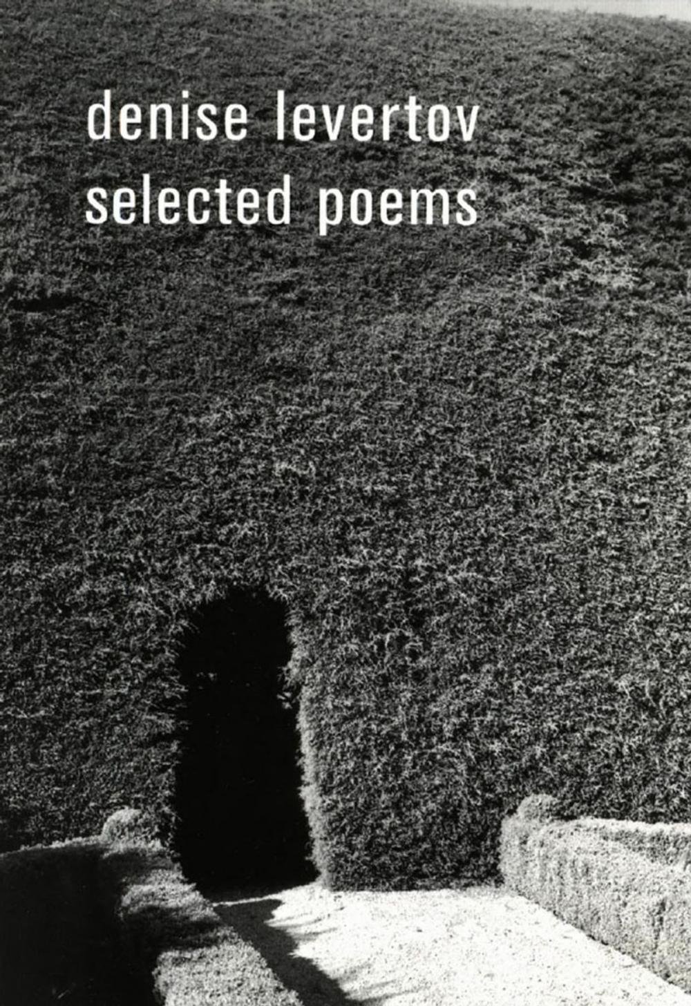 Big bigCover of Selected Poems