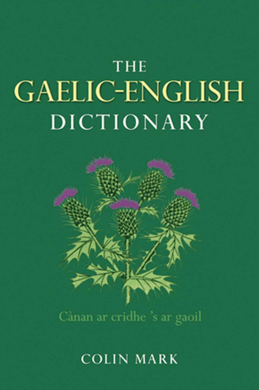 Big bigCover of The Gaelic-English Dictionary