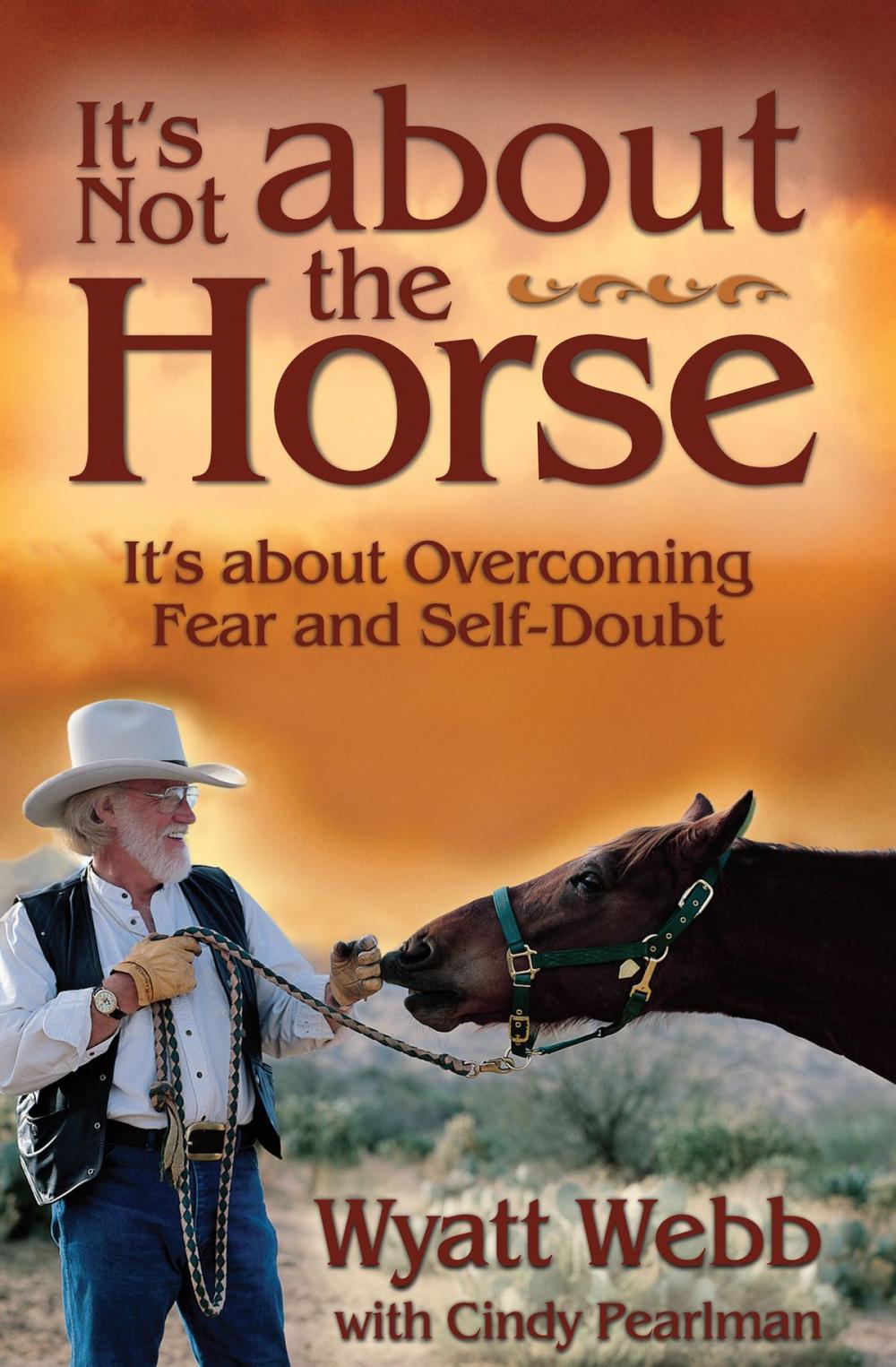 Big bigCover of It's Not About the Horse