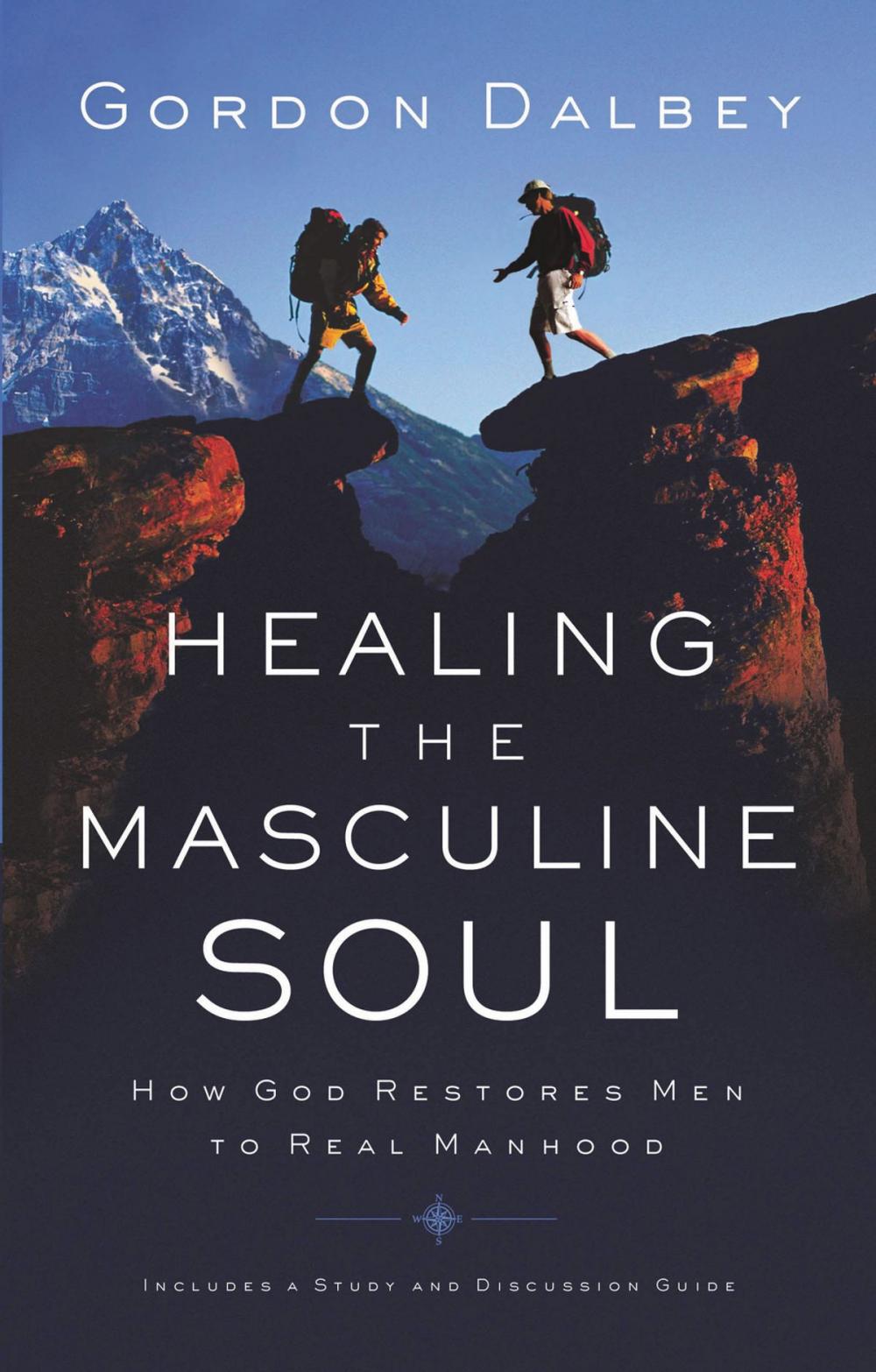 Big bigCover of Healing the Masculine Soul