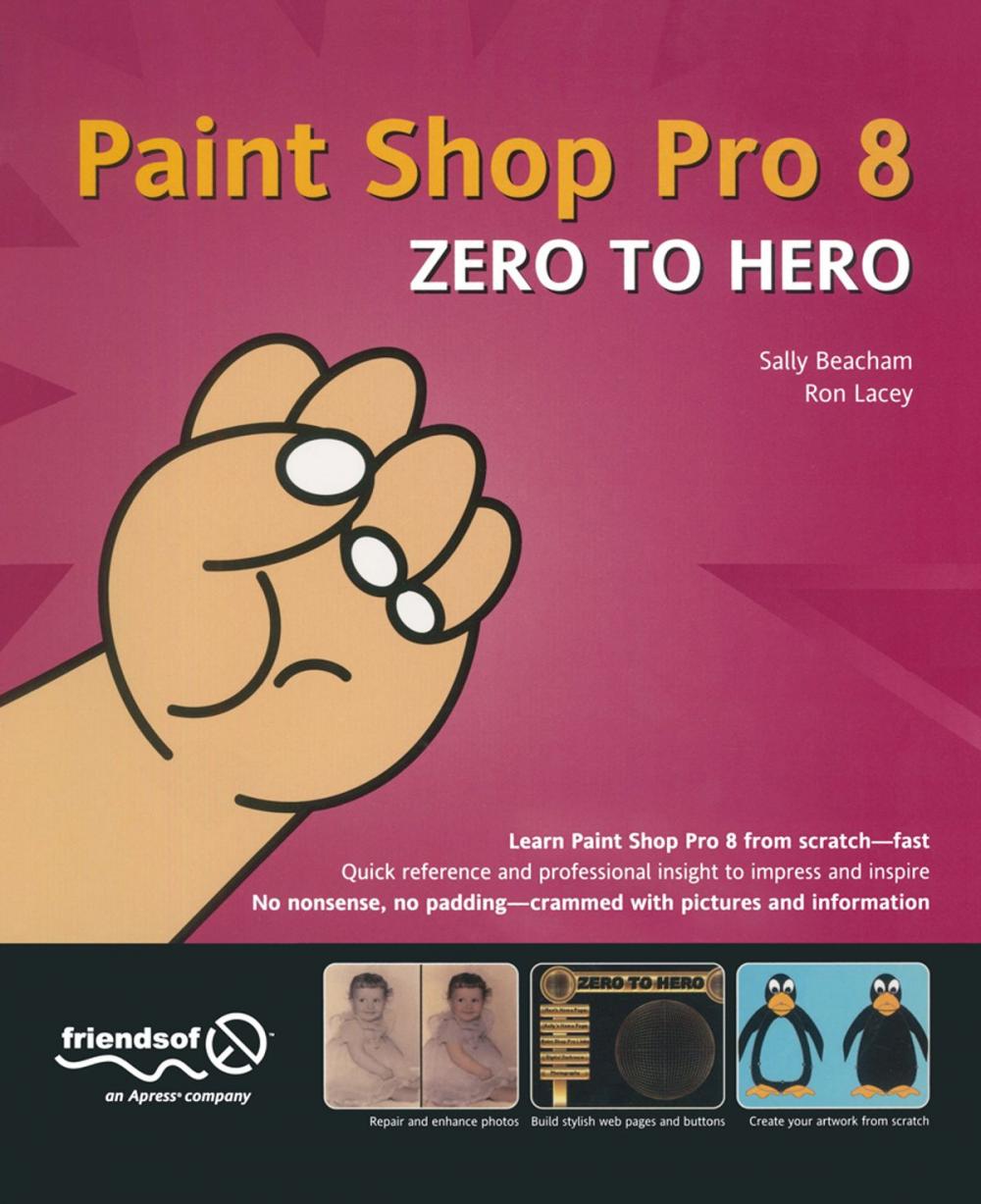 Big bigCover of Paint Shop Pro 8 Zero to Hero