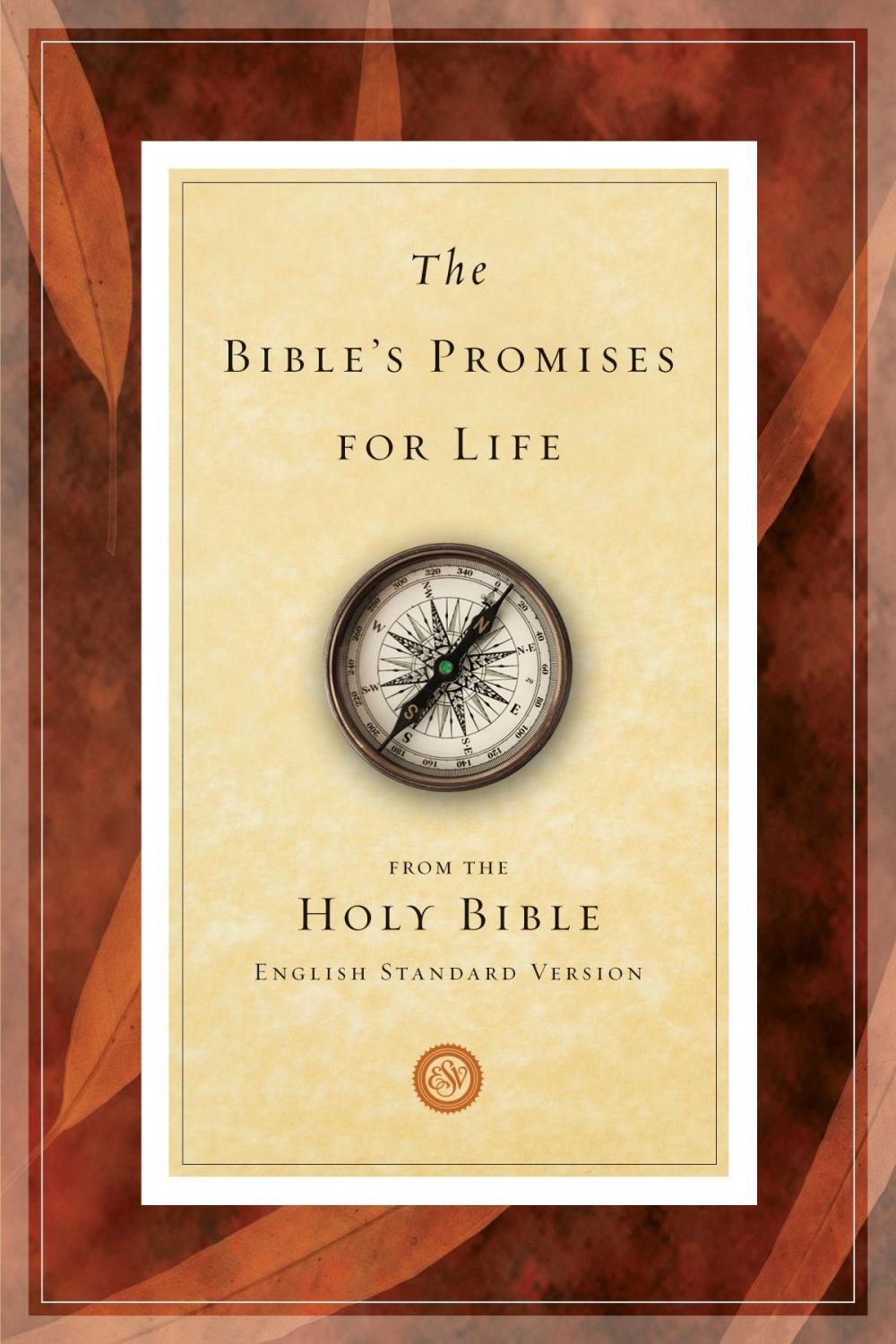 Big bigCover of The Bible's Promises for Life (From the Holy Bible, English Standard Version)