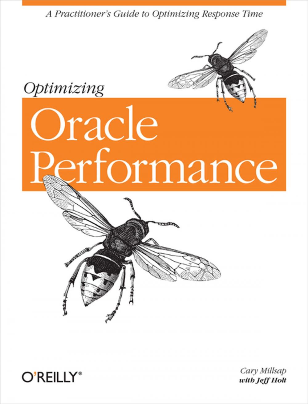 Big bigCover of Optimizing Oracle Performance