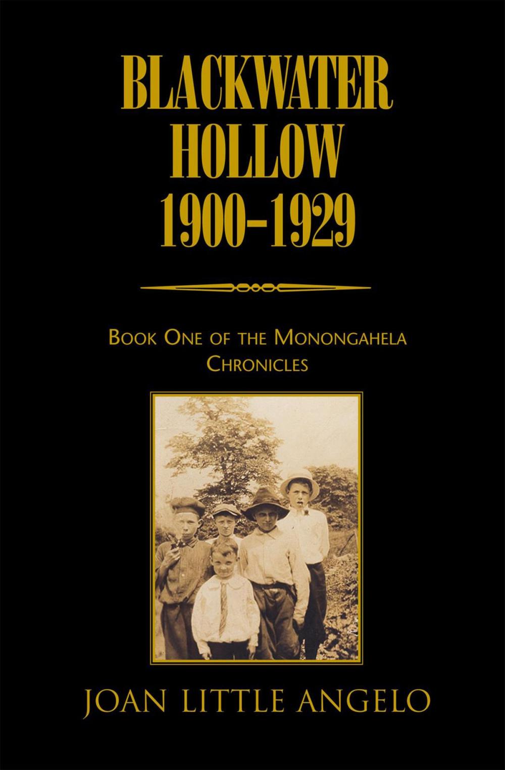 Big bigCover of Blackwater Hollow 1900-1929