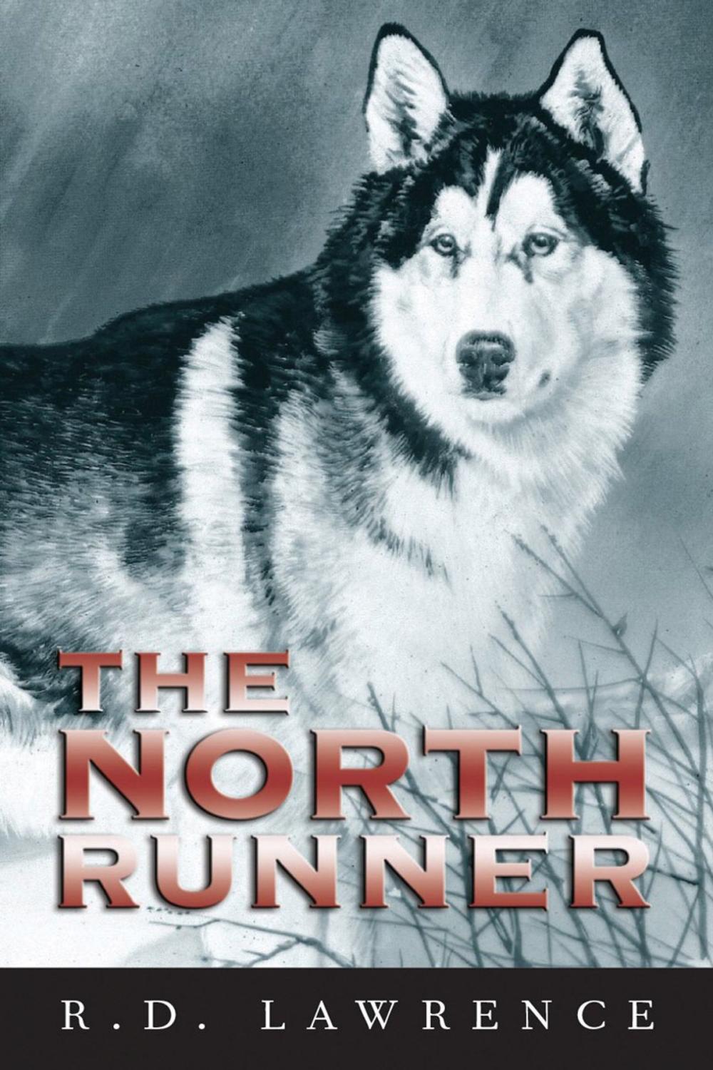 Big bigCover of The North Runner