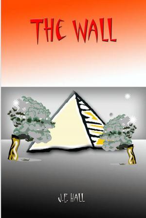 Cover of the book The Wall by Thomas Williams