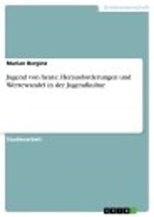 Book cover of Jugend von heute. Herausforderungen und Wertewandel in der Jugendkultur