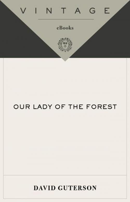 Cover of the book Our Lady of the Forest by David Guterson, Knopf Doubleday Publishing Group