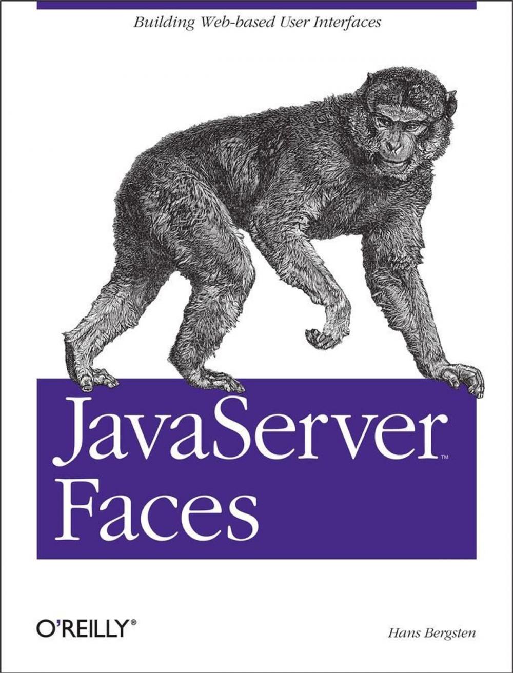 Big bigCover of JavaServer Faces