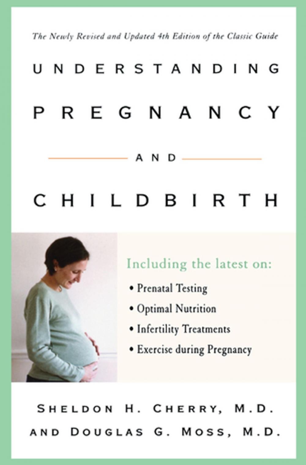 Big bigCover of Understanding Pregnancy and Childbirth