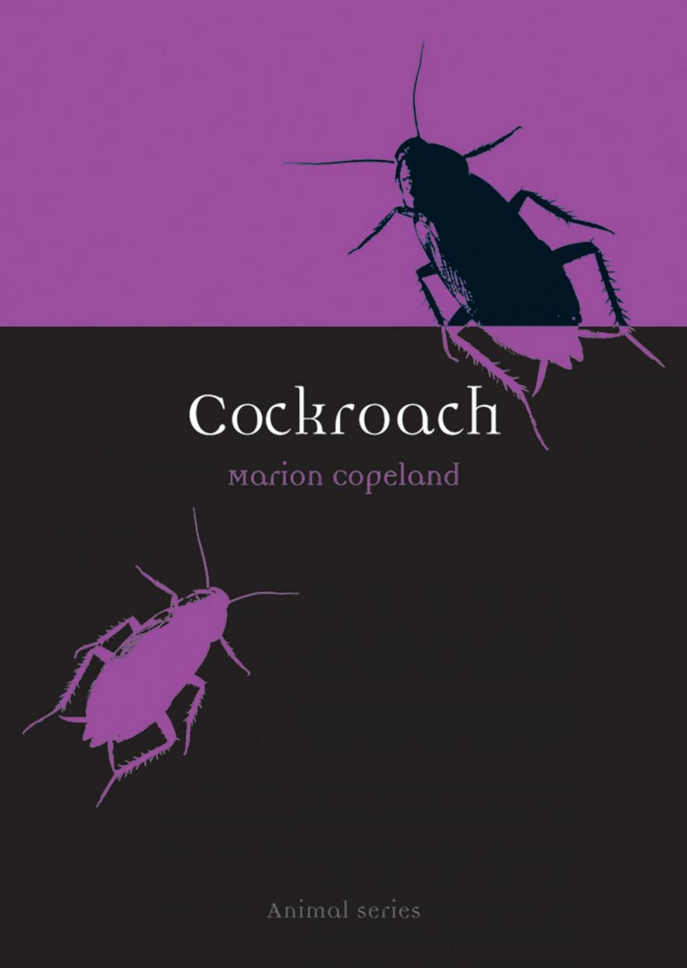 Big bigCover of Cockroach