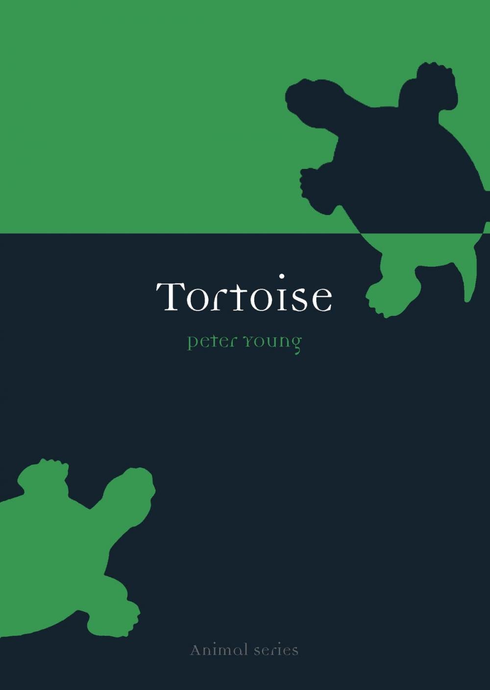 Big bigCover of Tortoise