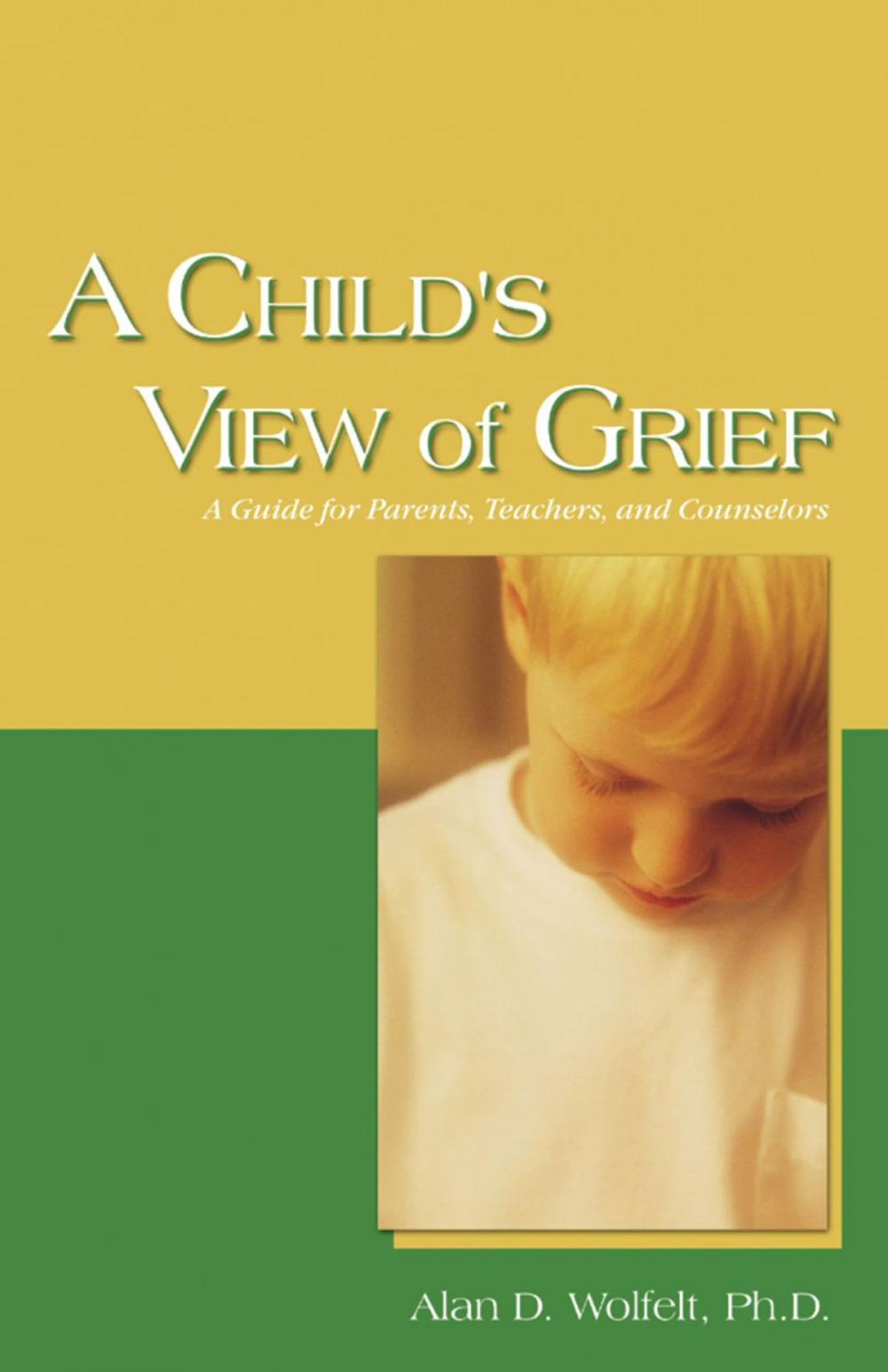 Big bigCover of A Child's View of Grief