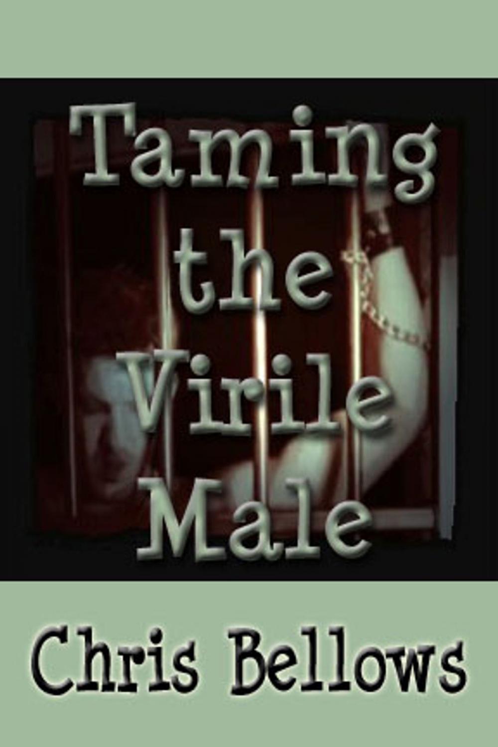 Big bigCover of Taming The Virile Male