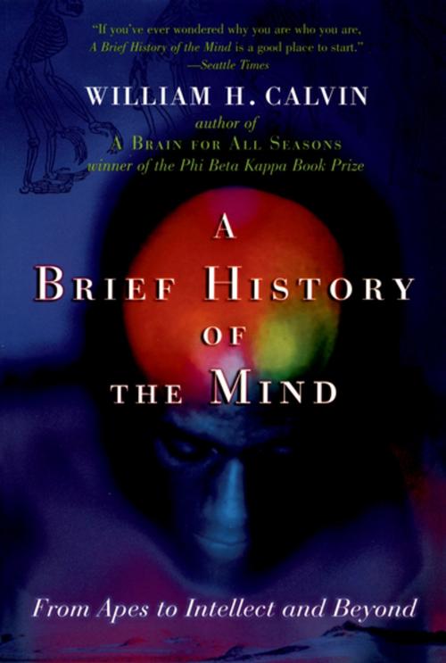 Cover of the book A Brief History of the Mind by William H. Calvin, Oxford University Press