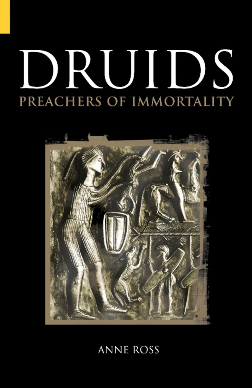 Big bigCover of Druids