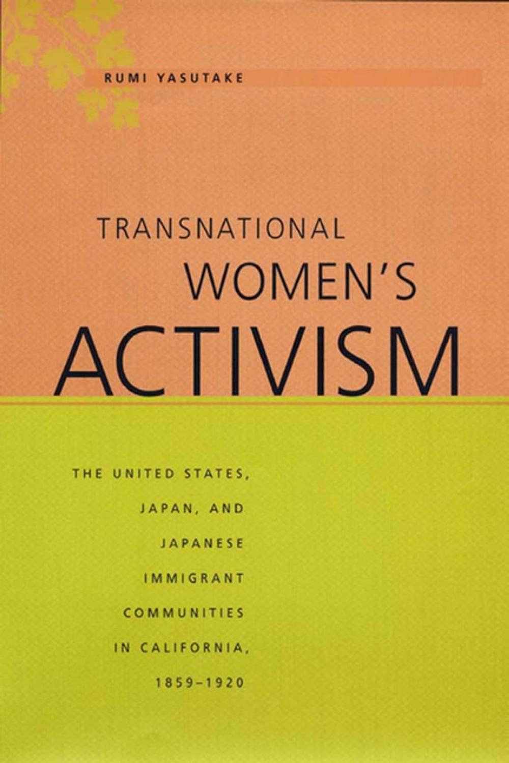 Big bigCover of Transnational Women's Activism