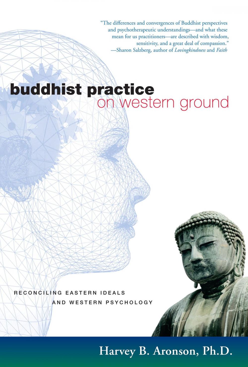 Big bigCover of Buddhist Practice on Western Ground