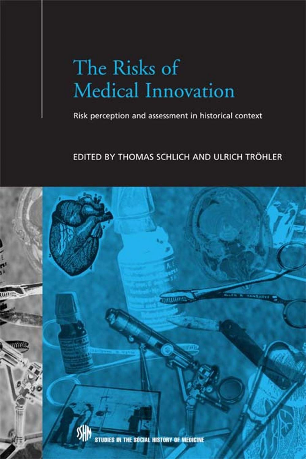 Big bigCover of The Risks of Medical Innovation