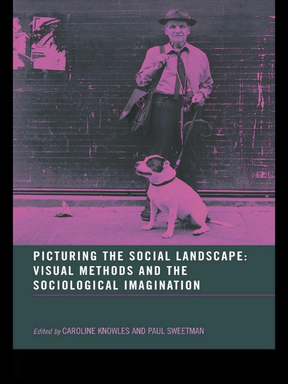 Big bigCover of Picturing the Social Landscape