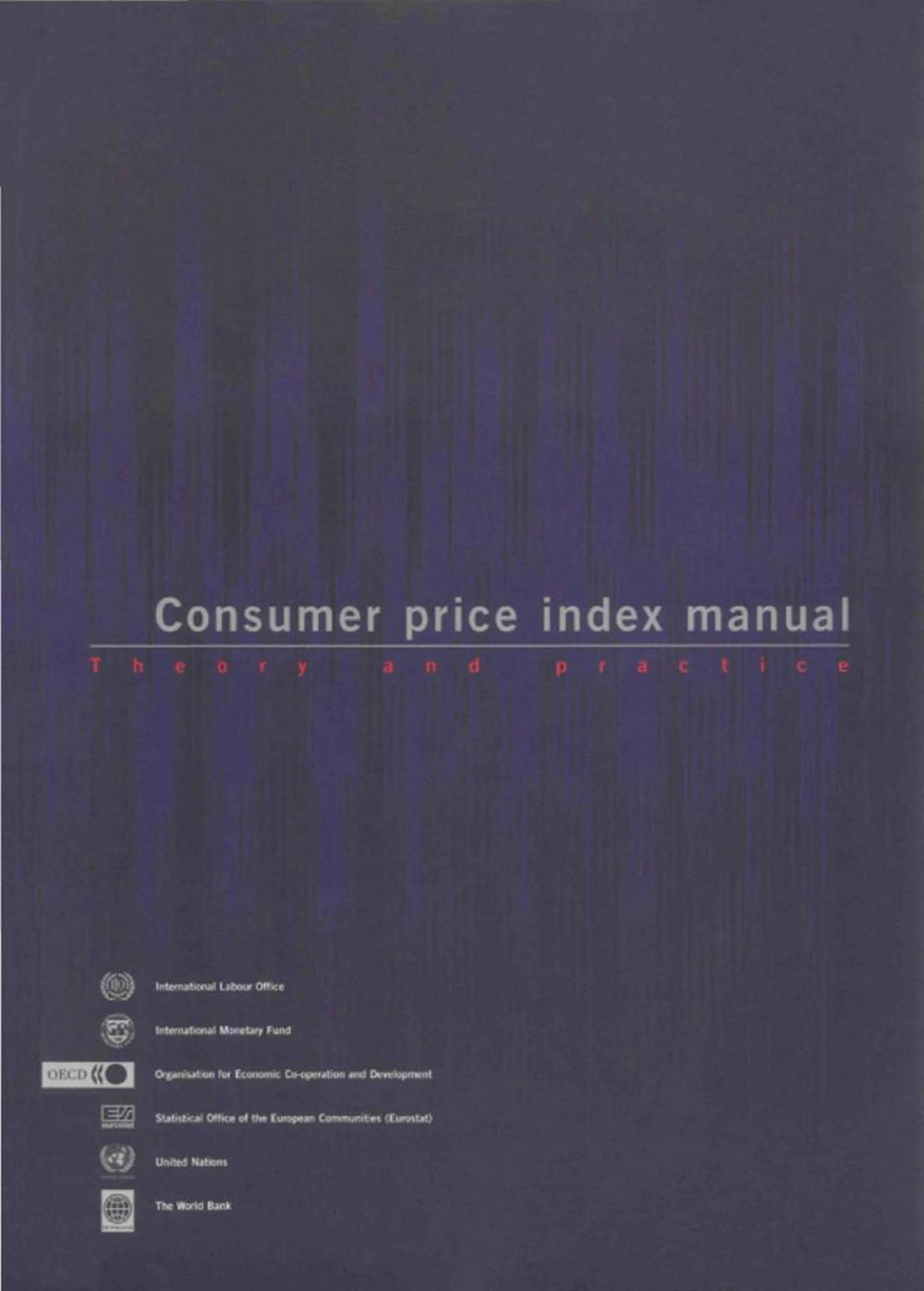 Big bigCover of Consumer Price Index Manual: Theory and Practice