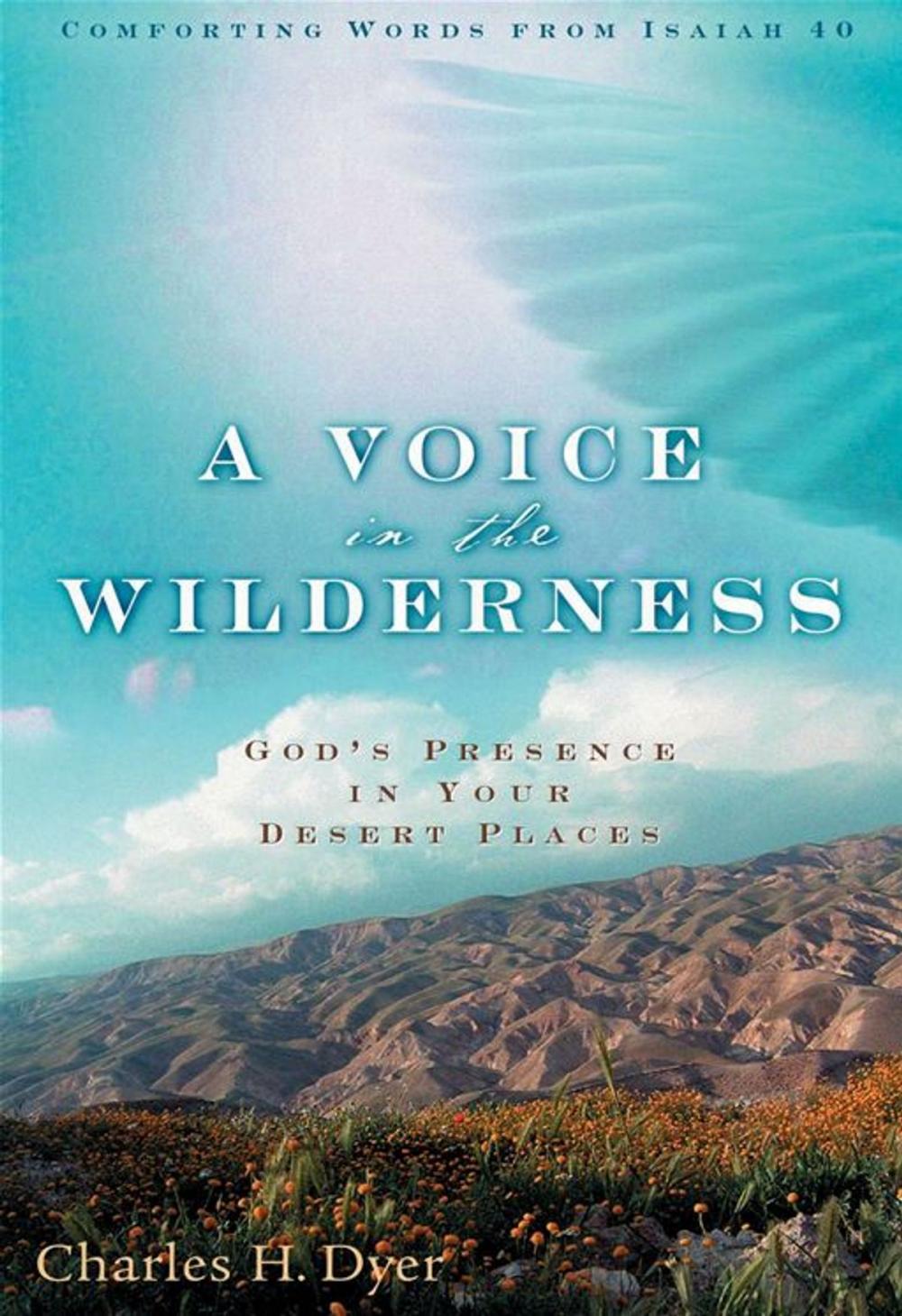 Big bigCover of A Voice in the Wilderness