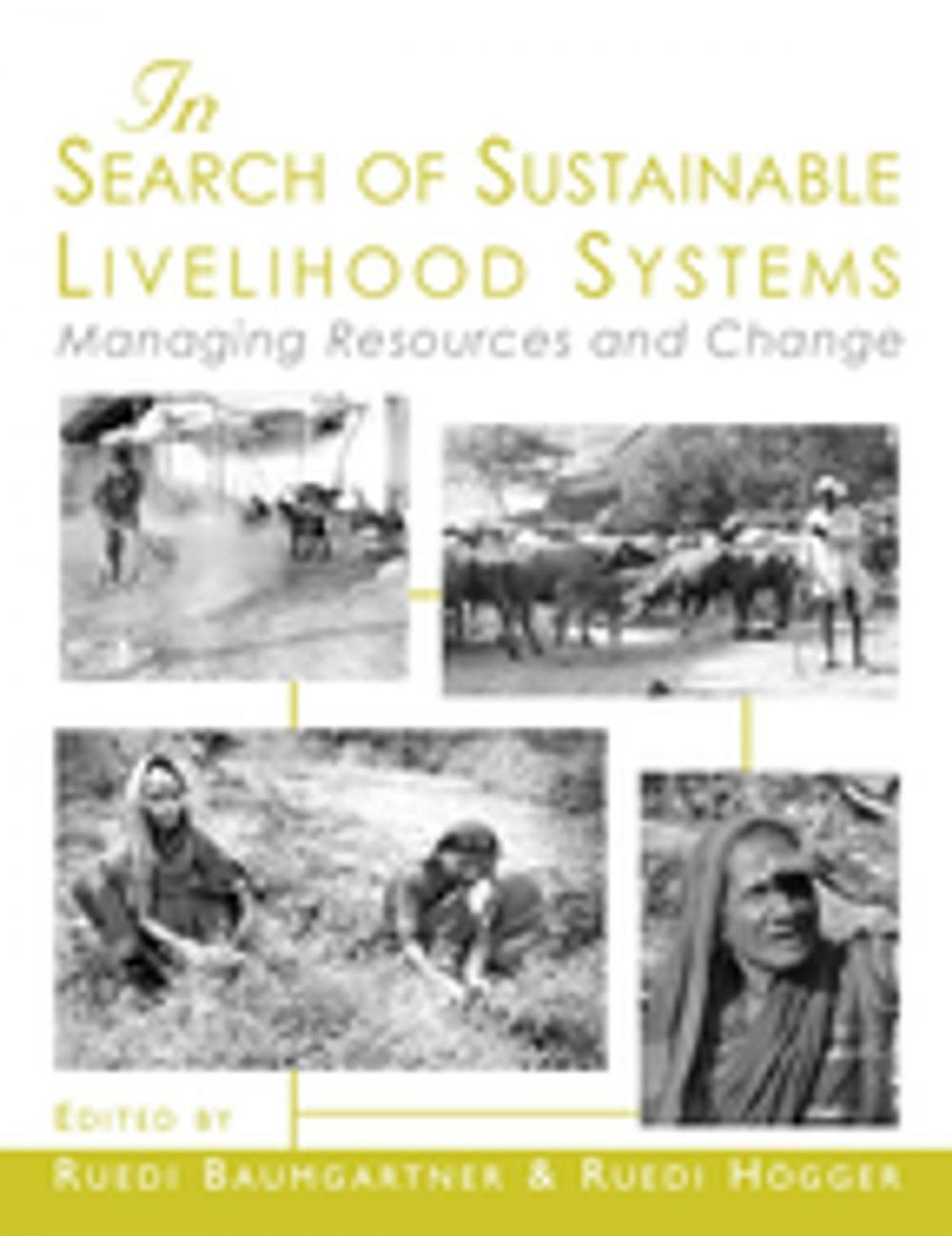 Big bigCover of In Search of Sustainable Livelihood Systems