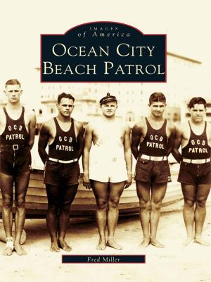 Cover of the book Ocean City Beach Patrol by Dann Woellert