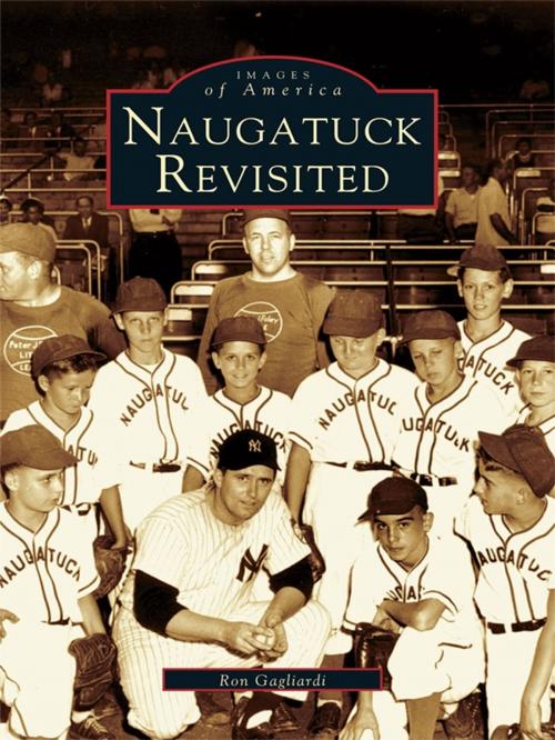 Cover of the book Naugatuck Revisited by Ron Gagliardi, Arcadia Publishing Inc.