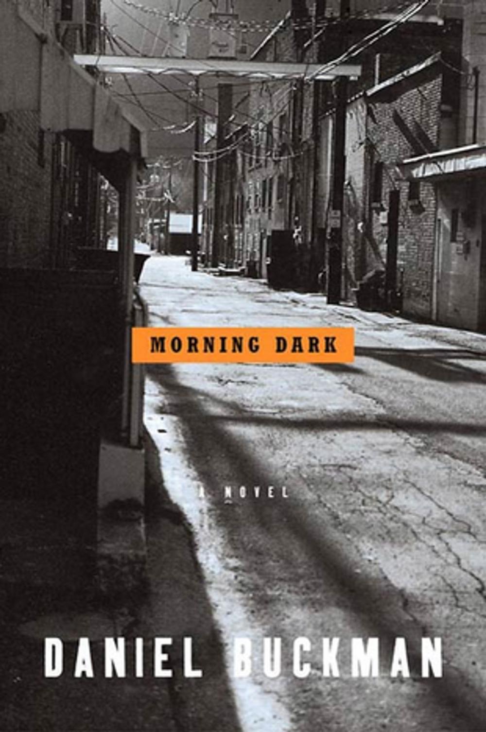 Big bigCover of Morning Dark