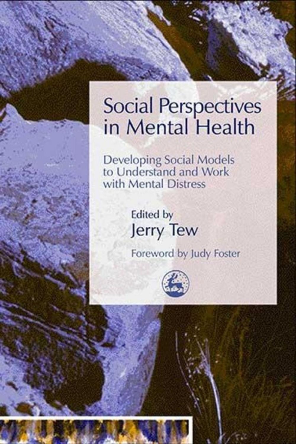 Big bigCover of Social Perspectives in Mental Health