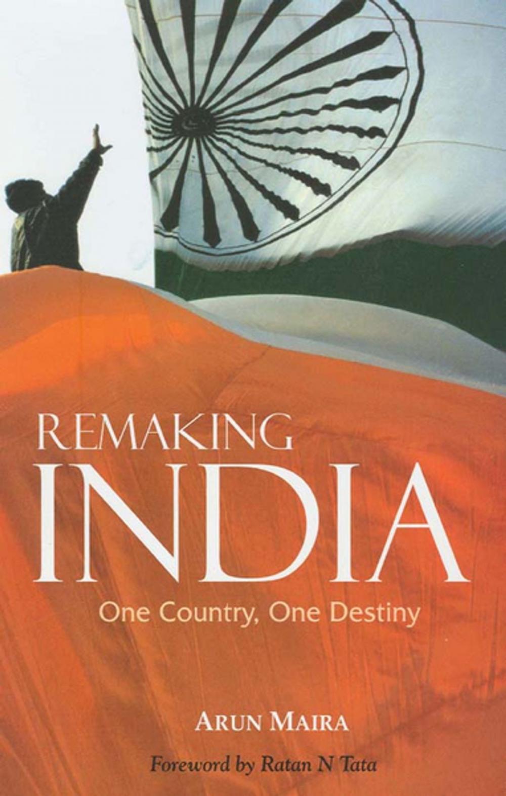 Big bigCover of Remaking India