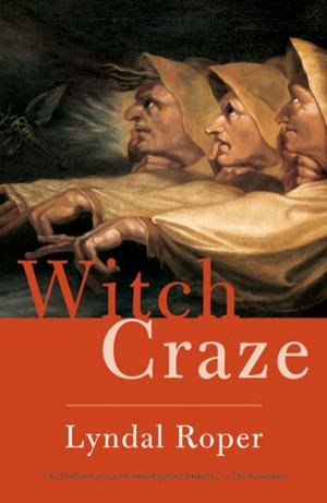 Book cover of Witch Craze