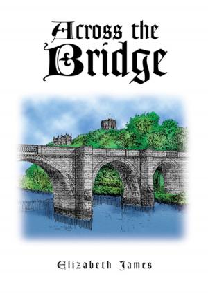 Cover of the book Across the Bridge by Nafeesah Knoble