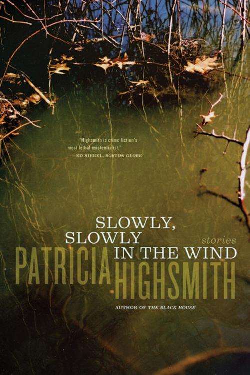 Cover of the book Slowly, Slowly in the Wind by Patricia Highsmith, W. W. Norton & Company