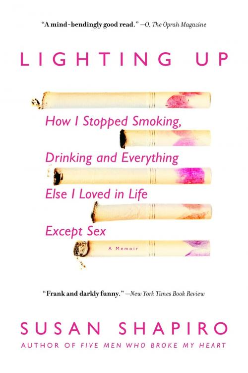 Cover of the book Lighting Up by Susan Shapiro, Random House Publishing Group