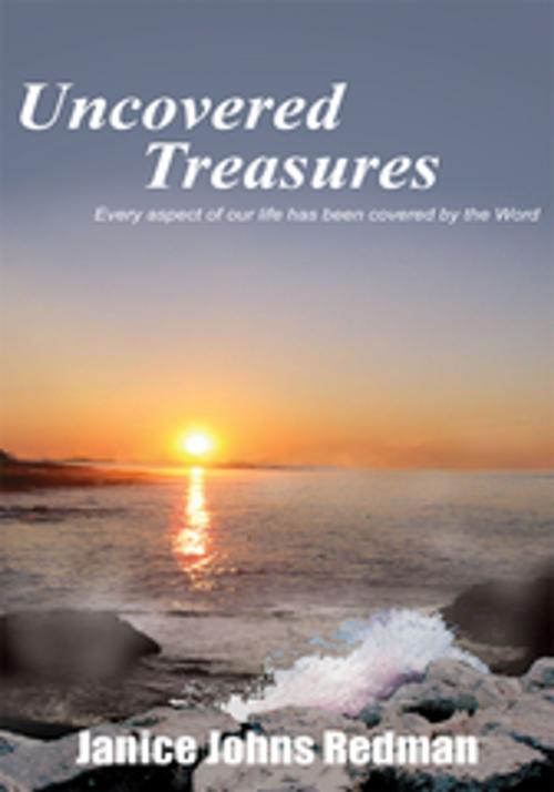 Cover of the book Uncovered Treasures by Janice Johns Redman, AuthorHouse