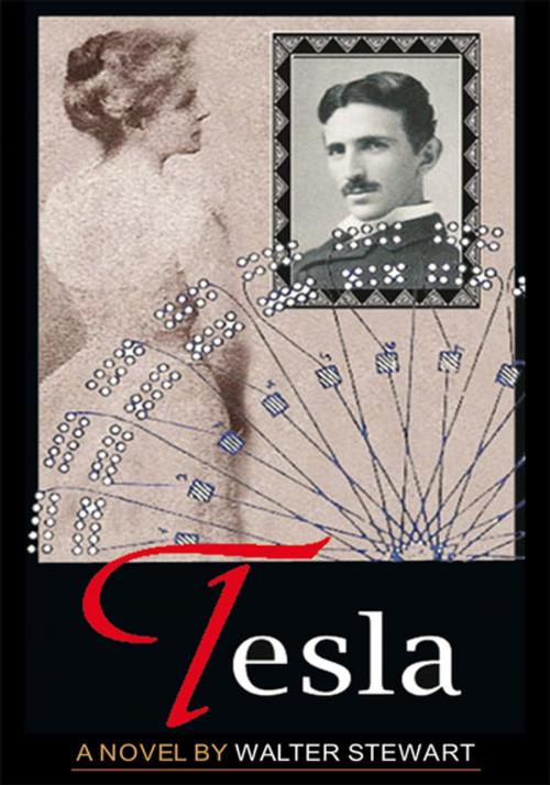 Cover of the book Tesla by Walter Stewart, Xlibris US