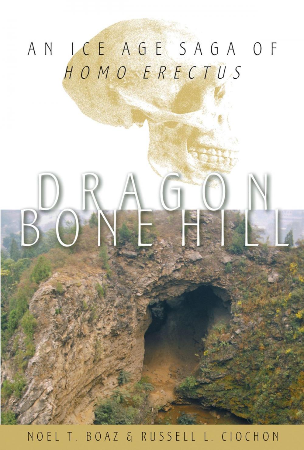 Big bigCover of Dragon Bone Hill