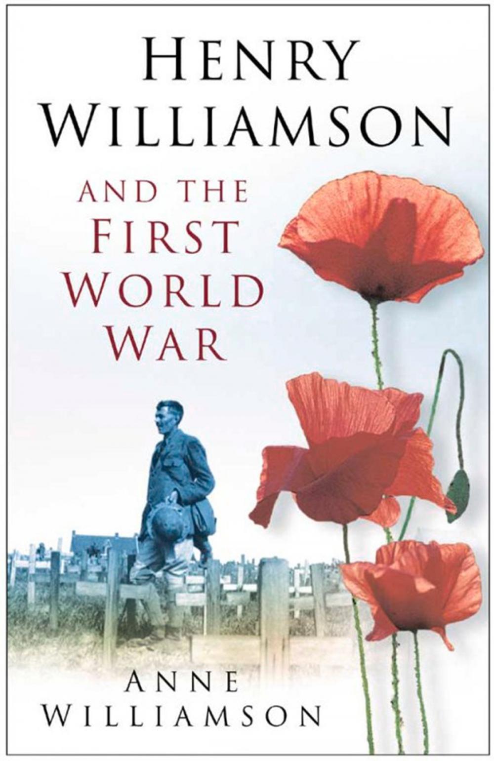 Big bigCover of Henry Williamson and the First World War