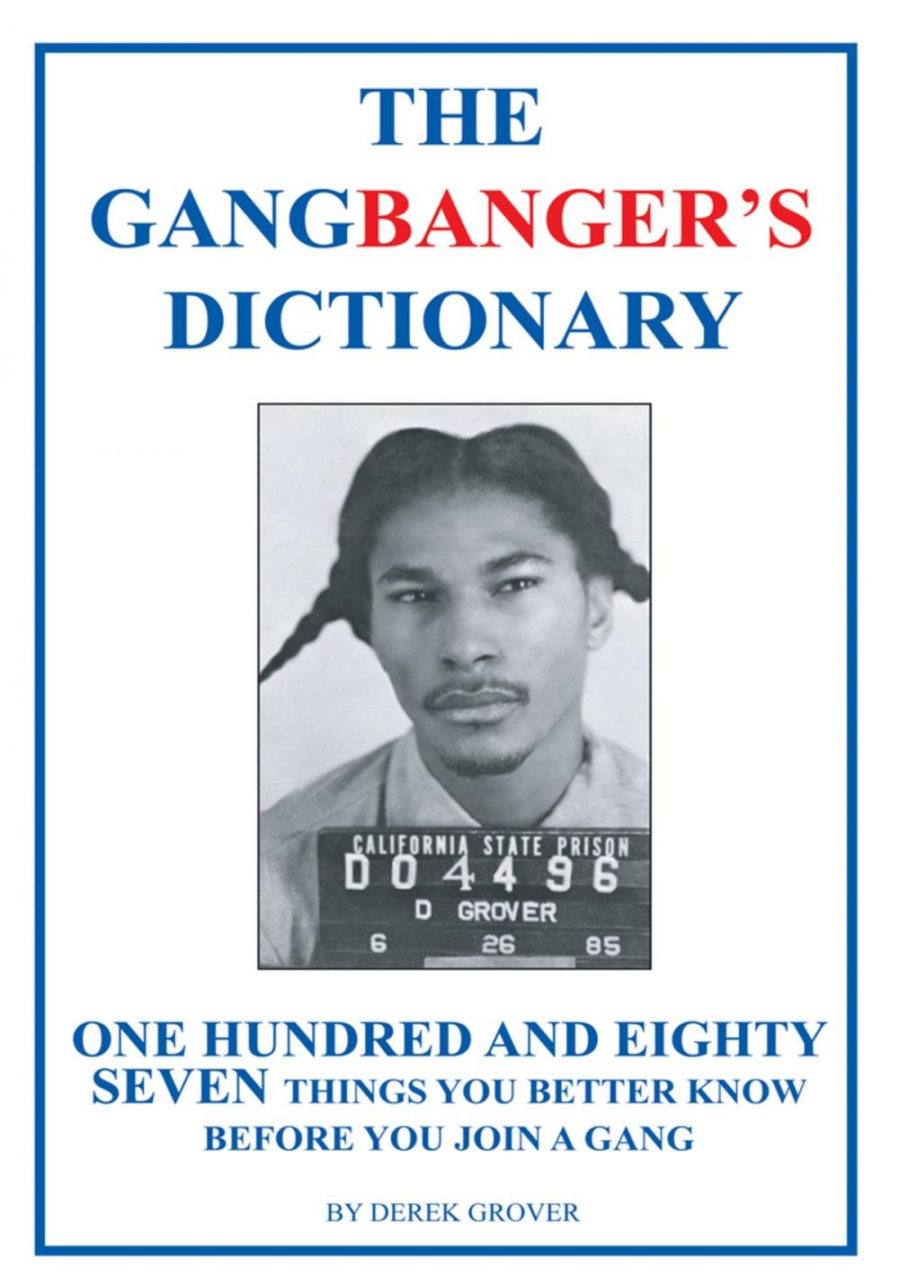 Big bigCover of The Gangbanger's Dictionary