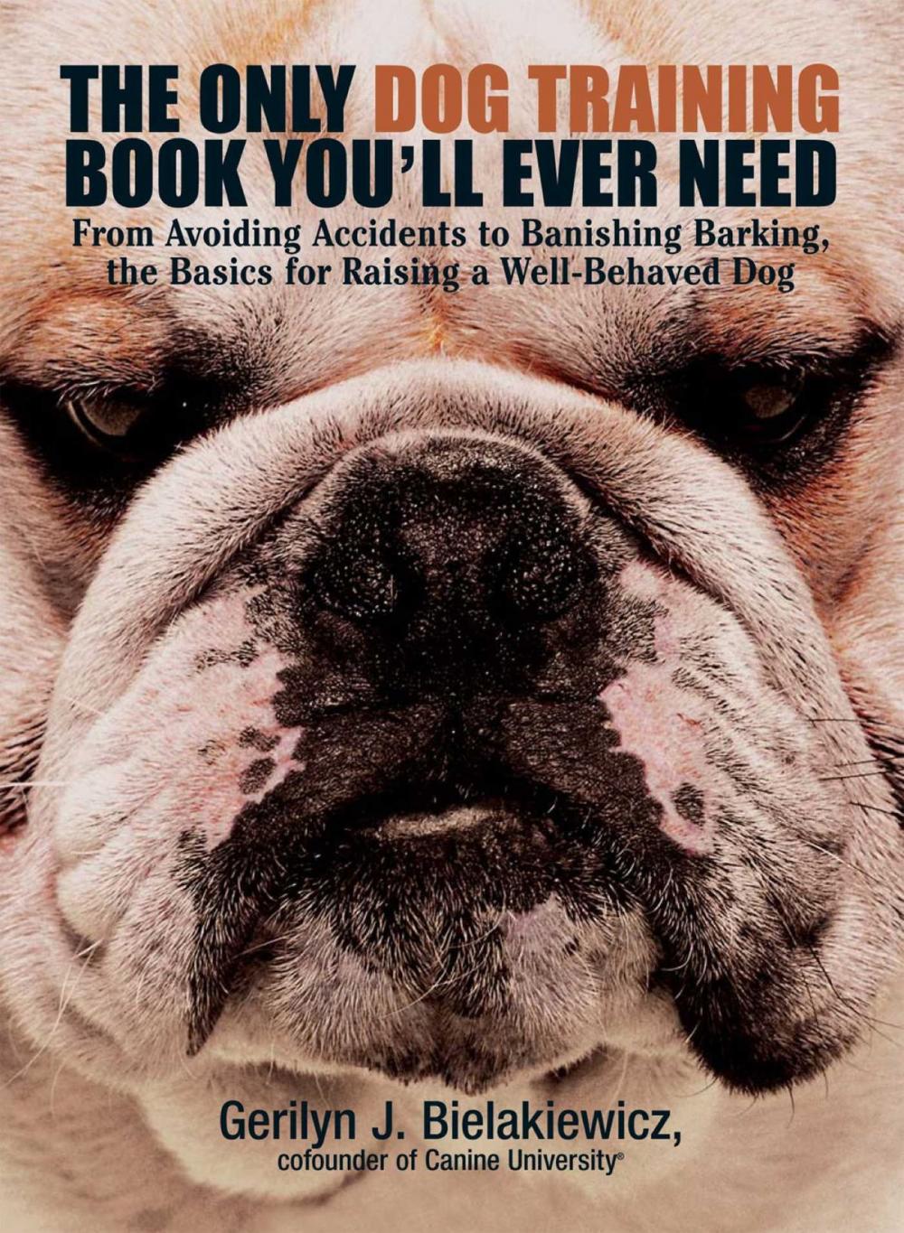 Big bigCover of The Only Dog Training Book You'll Ever Need