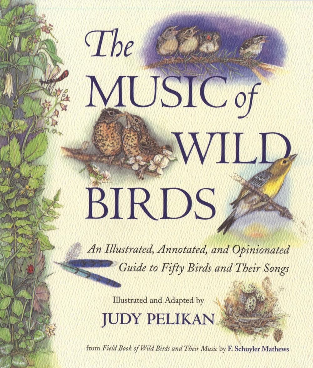 Big bigCover of The Music of Wild Birds