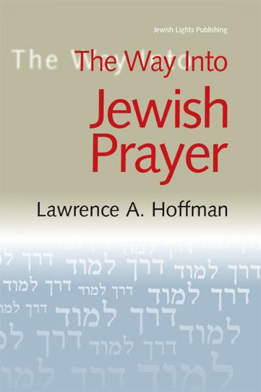 Big bigCover of The Way Into Jewish Prayer