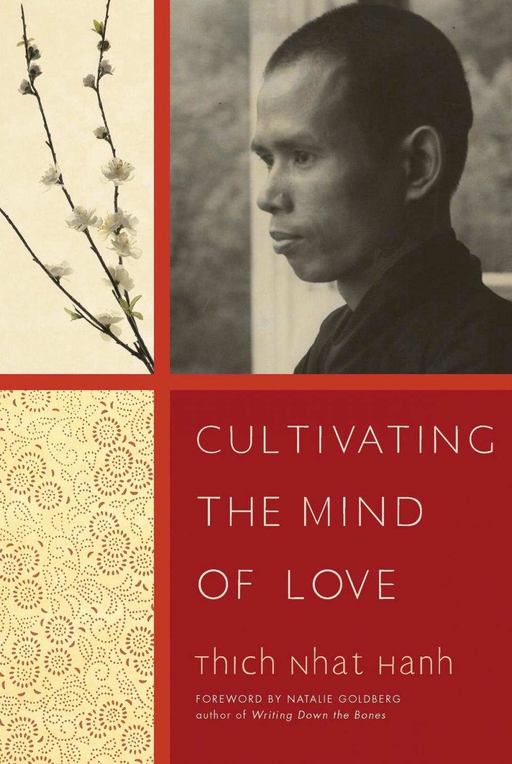 Big bigCover of Cultivating the Mind of Love