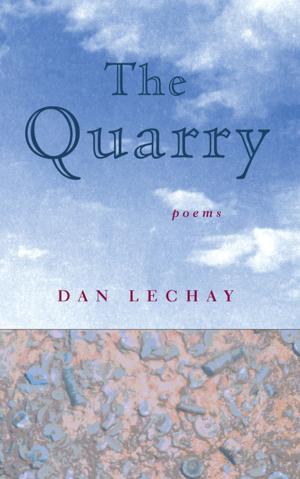 Cover of the book The Quarry by 