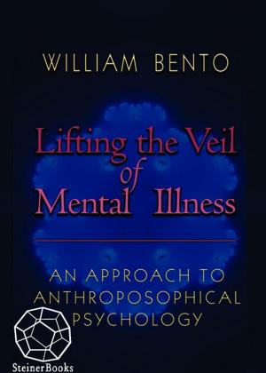 Cover of the book Lifting the Veil of Mental Illness by Peter Sleg